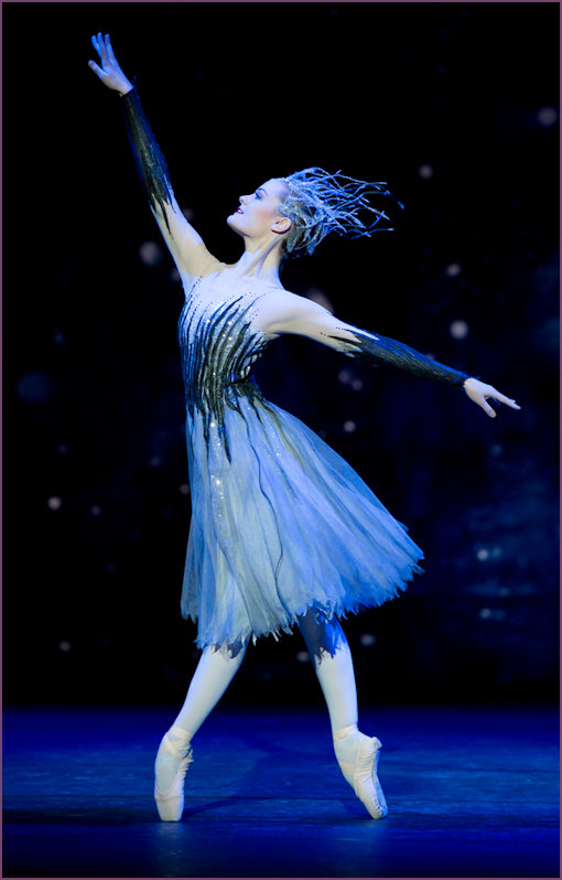 Cinderella's Fairy Godmother
